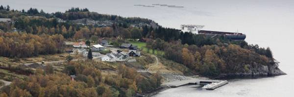 Dommarsnes - Vikebygd
