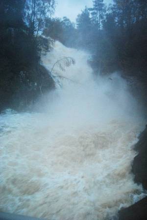 Regn i rvik