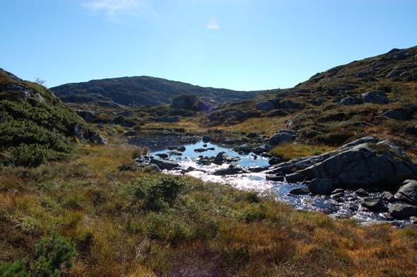 Klikk for strre bilete fr Morgonsvatnet