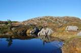 Klikk for større bilete frå Morgonsvatnet