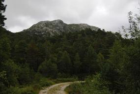 Opp langs Vikestlsvegen ser eg Trodlafjell kneisa over tretoppana.