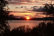 Kveldssol over Ålfjorden