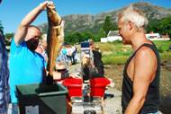 Fiskefestival med boder og snurringar